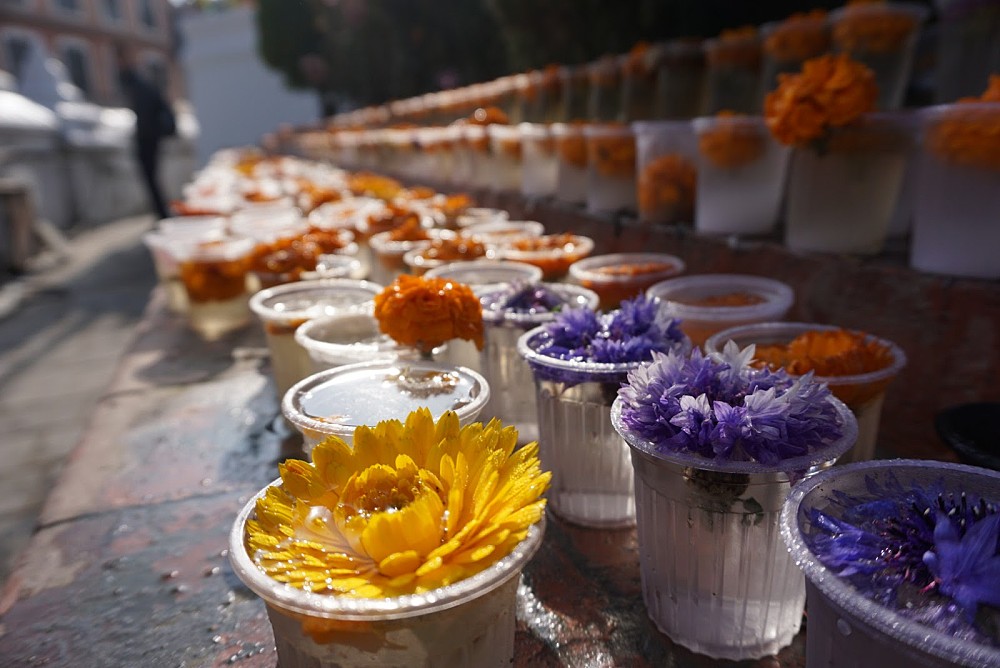 Nepal flowers