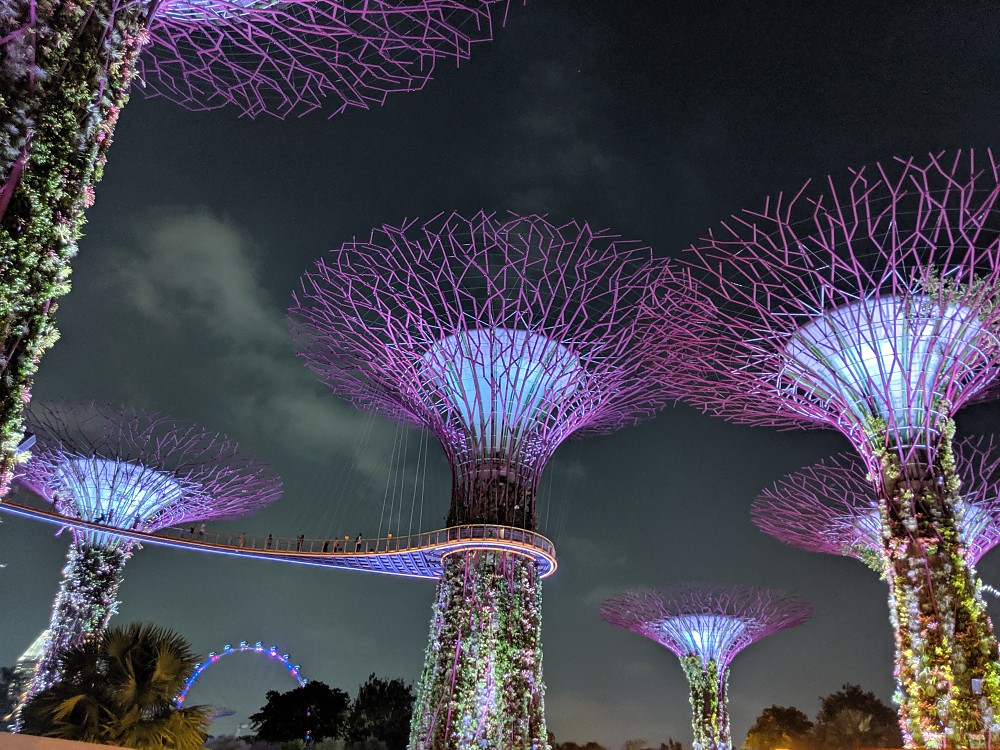 Singapore supertrees