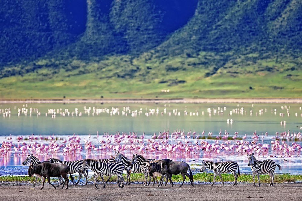 Ngorongoro Crater Lodge